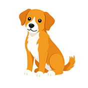 Illustration d'un chien avec une médaille QR code